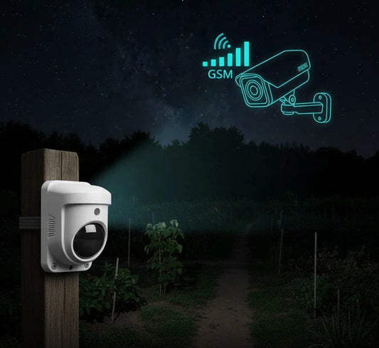 Más allá de los muros: Cómo proteger grandes jardines y terrenos con sensor de movimiento y cámaras de seguridad exterior