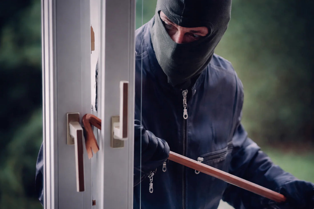 ¿Cuáles son los delitos contra la propiedad en Chile?