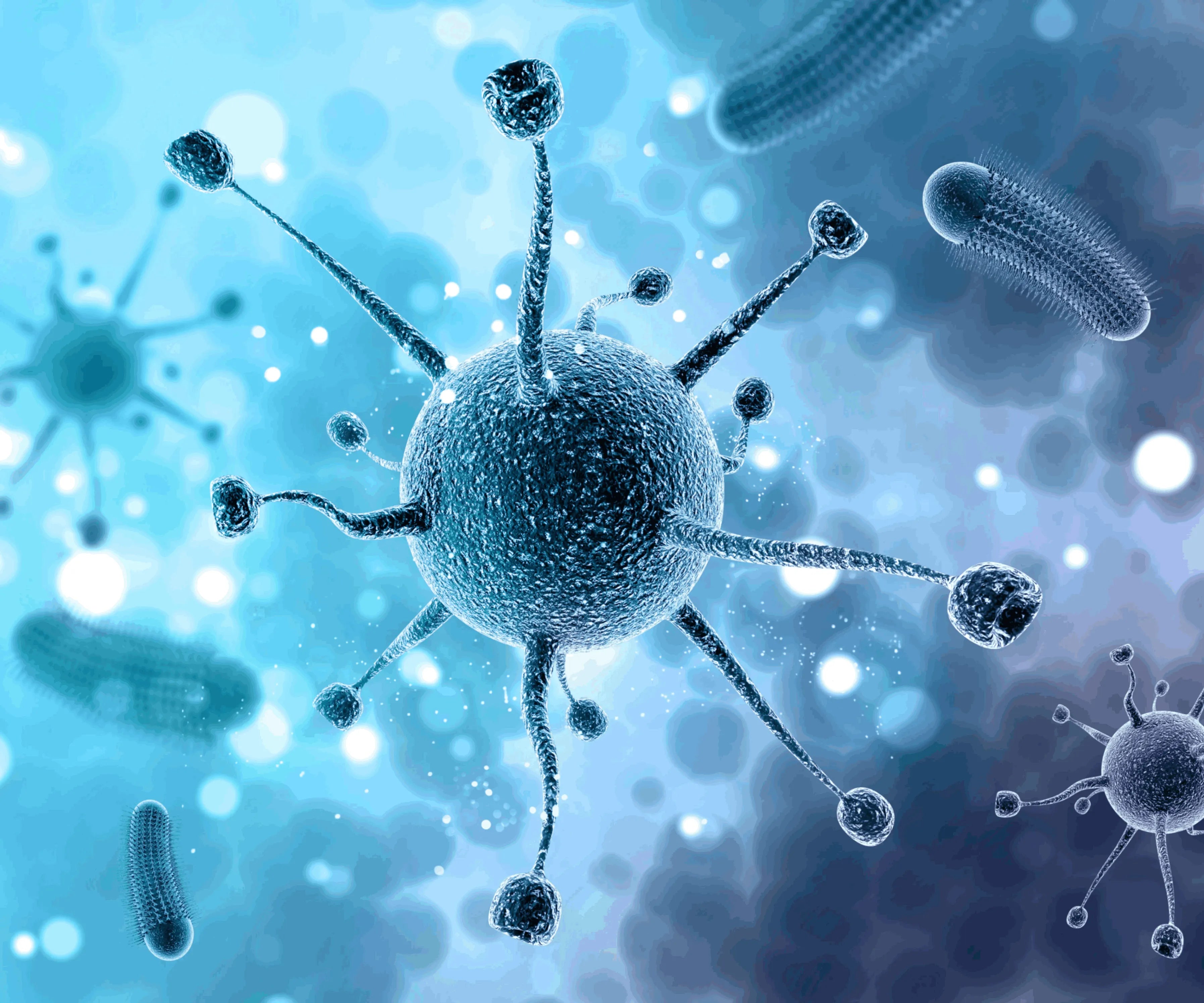 Virus y bacterias presentes en el hogar más peligrosos para las personas