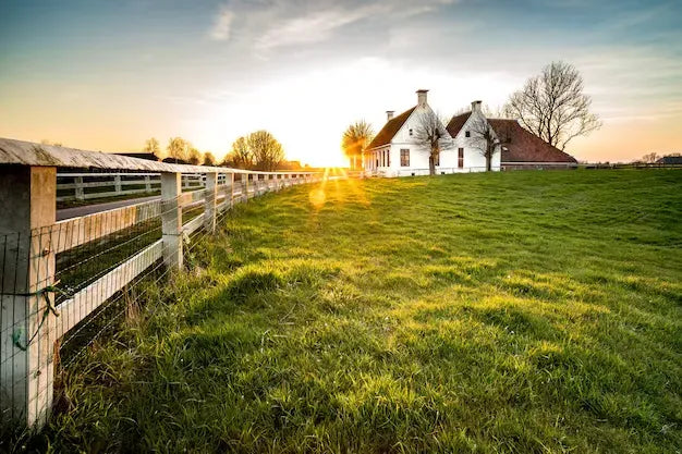 Cuidado integral de los animales de granja: Claves para un manejo efectivo