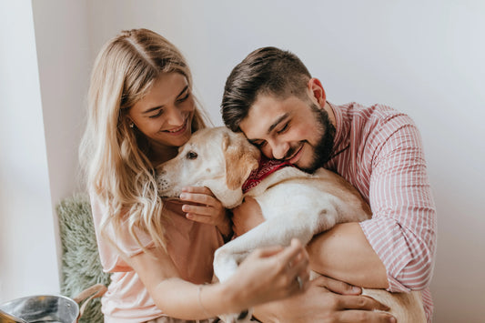 ¿Qué tan conveniente es contratar un seguro para tu mascota?