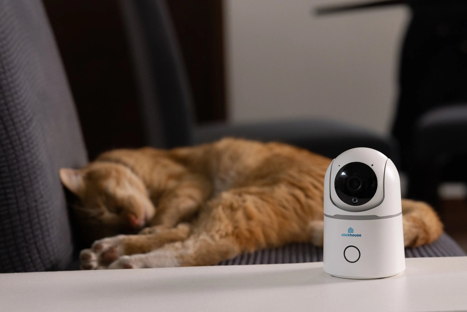 Producto: Camara exterior