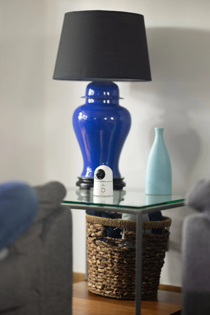 Producto: Camara interior